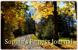 fitness journal sample1