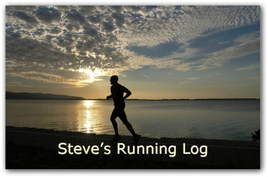 sample running log cover1